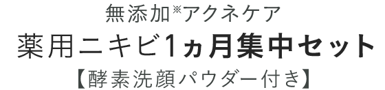 無添加アクネケア 薬用ニキビ1ヵ月集中セット 【酵素洗顔パウダー付き】