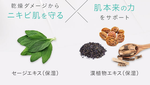 乾燥ダメージからニキビ肌を守るセージエキス（保湿）/肌本来の力をサポート漢植物エキス（保湿）
