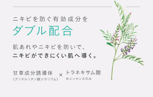ニキビを防ぐ有効成分をダブル配合 肌あれやニキビを防いで、ニキビができにくい肌へ導く。甘草成分誘導体（グリチルリチン酸ジカリウム）-トラネキサム酸※エッセンスのみ
