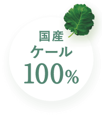 国産ケール100%