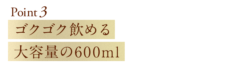 point3 ゴクゴク飲める 大容量の600ml