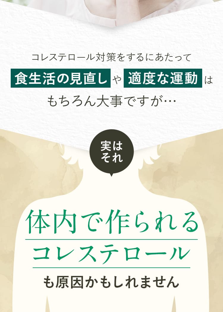 コレステロール対策をするにあたって食生活の見直しや適度な運動はもちろん大事ですが…実はそれ体内で作られるコレステロールも原因かもしれません