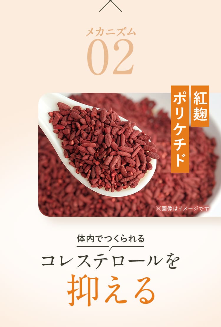 メカニズム02 紅麹ポリケチド 体内でつくられるコレステロールを抑える