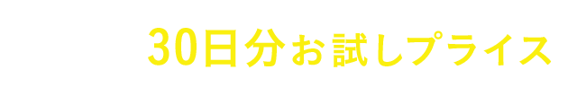 お得な30日分お試しプライス