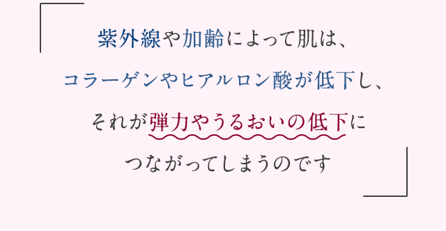 紫外線や加齢によって肌は、コラーゲンやヒアルロン酸が低下し、それが弾力やうるおいの低下につながってしまうのです