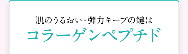 肌のうるおい・弾力キープの鍵はコラーゲンペプチド