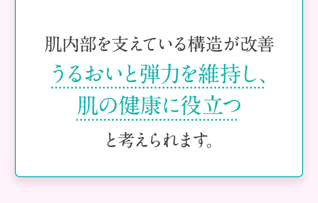 肌内部を支えている構造が改善 うるおいと弾力を維持し、肌の健康に役立つと考えられます。