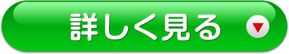 詳しく見る