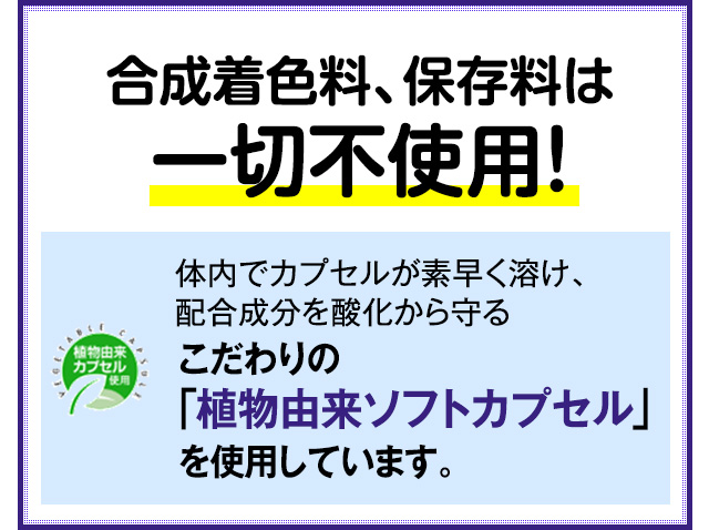 合成着色料、保存料は一切不使用！