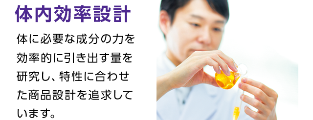 体内効率設計