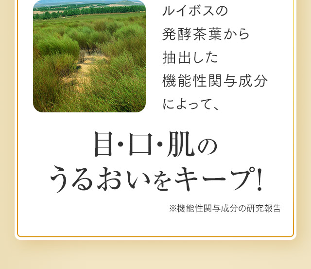 ルイボスの発酵茶葉から抽出した機能性関与成分によって、目・口・肌のうるおいをキープ！※機能性関与成分の研究報告