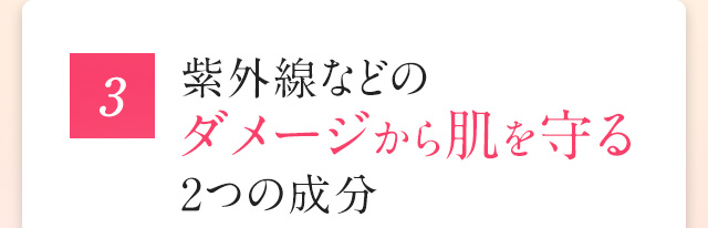 3紫外線などのダメージから肌を守る2つの成分