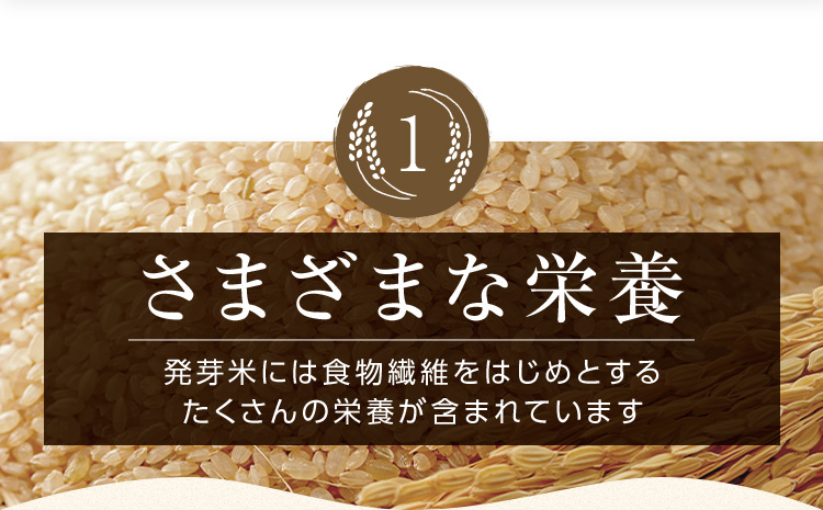 1 さまざまな栄養 発芽米には食物繊維をはじめとする たくさんの栄養が含まれています
