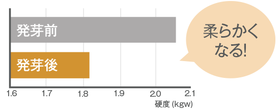 甘みと旨み