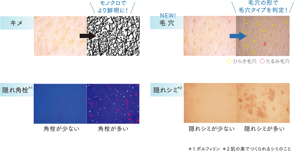 ビジュアル解析