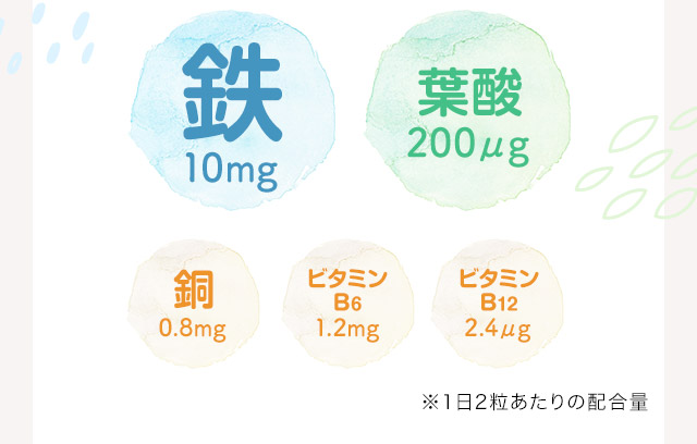 鉄10mg 葉酸200μg 銅0.8mg ビタミンB6 1.2mg ビタミンB12 2.4μg