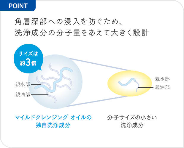 角層深部への浸入を防ぐため、洗浄成分の分子量をあえて大きく設計