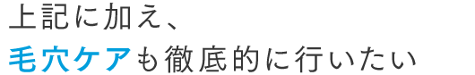 上記に加え、毛穴ケアも徹底的に行いたい