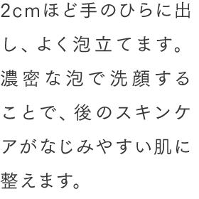 2cmほど手のひらに出し、よく泡立てます。濃密な泡で洗顔することで、後のスキンケアがなじみやすい肌に整えます。