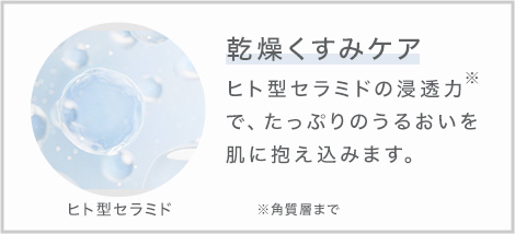 乾燥くすみケア ヒト型セラミドの浸透力で、たっぷりのうるおいを肌に抱え込みます。