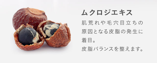 ムクロジエキス