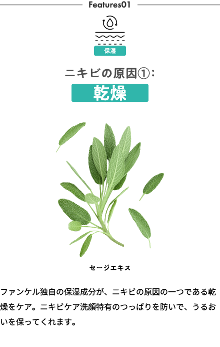 ニキビの原因1 乾燥