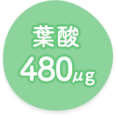 葉酸480μg