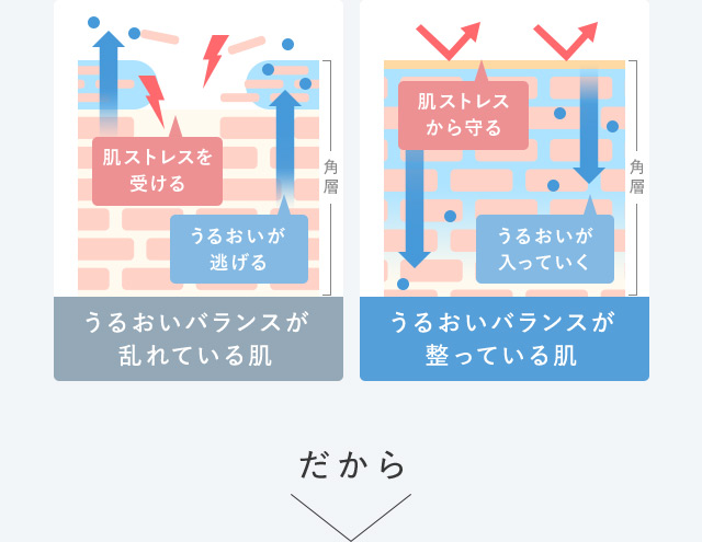 肌ストレスを受ける うるおいが逃げる 角層 うるおいバランスが乱れている肌 肌ストレスから守る うるおいが入っていく 角層 うるおいバランスが整っている肌 だから