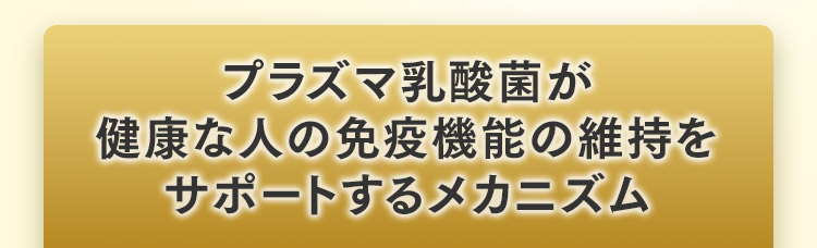 プラズマ乳酸菌が健康な人の免疫機能の維持をサポートするメカニズム