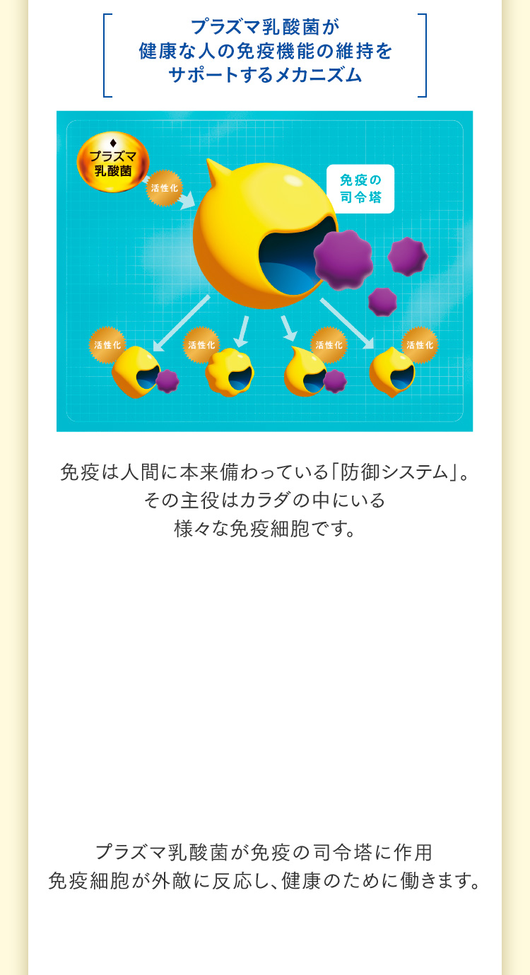 プラズマ乳酸菌が健康な人の免疫機能の維持をサポートするメカニズム