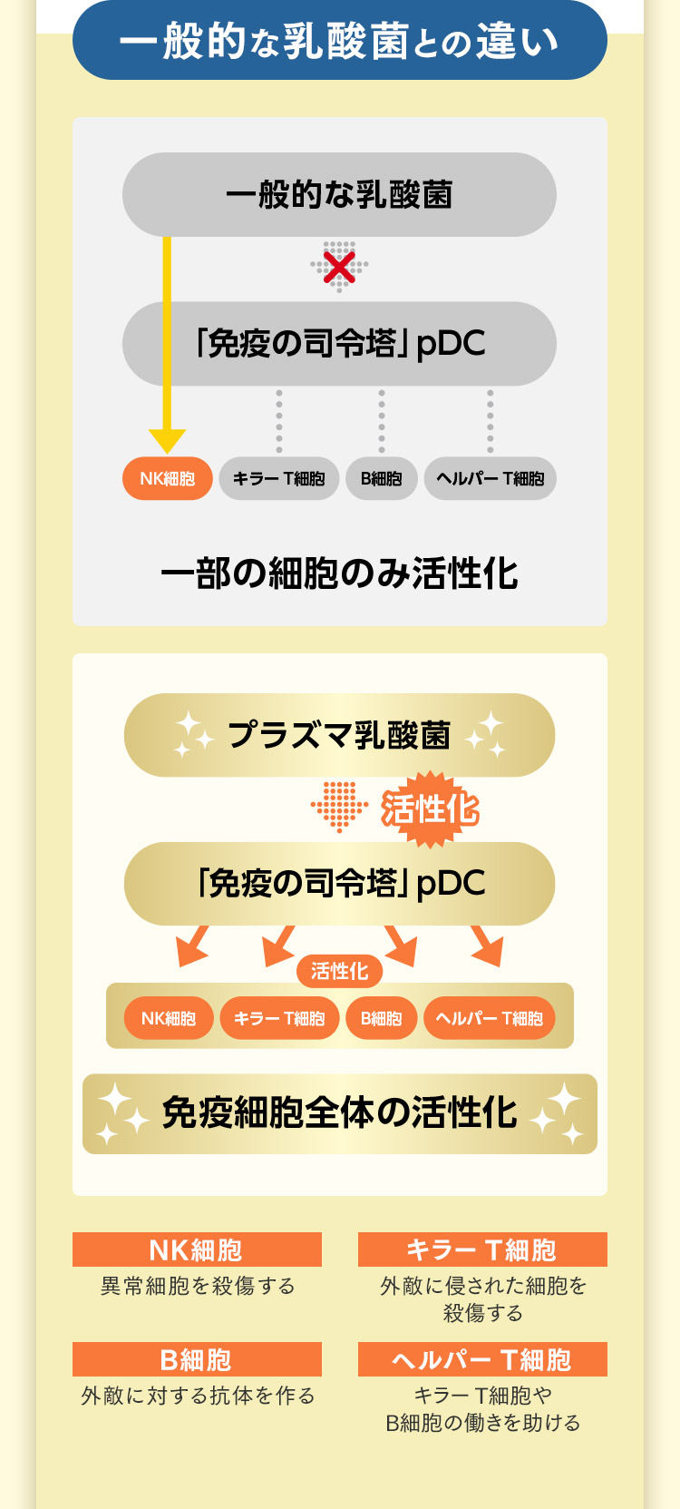 一般的な乳酸菌との違い