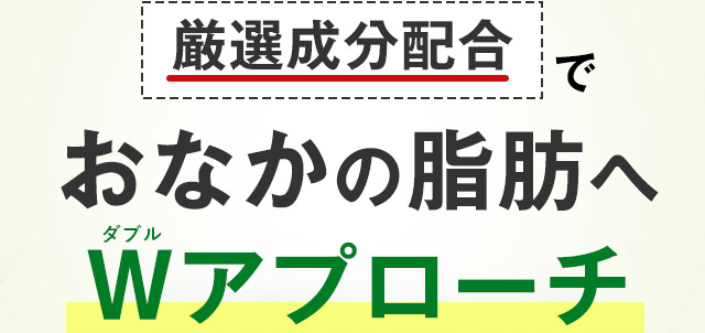 厳選成分配合で、 おなかの脂肪へ ダブル Wアプローチ