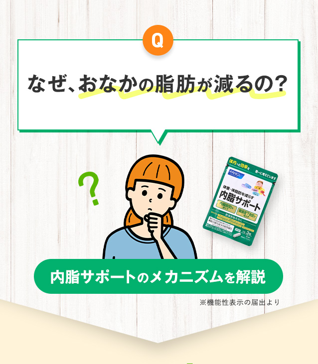 Q なぜ、おなかの脂肪が減るの？ 内脂サポートのメカニズムを解説