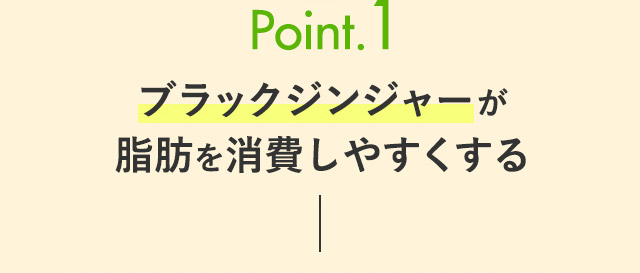 Point.1 ブラックジンジャーが脂肪を消費しやすくする