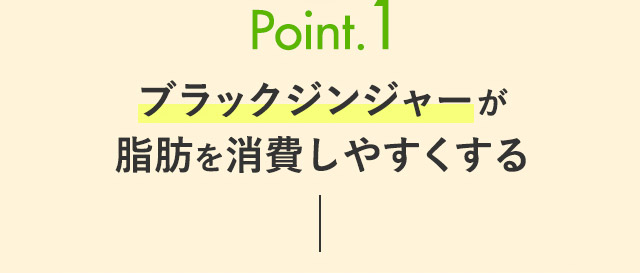 Point.1 ブラックジンジャーが脂肪を消費しやすくする