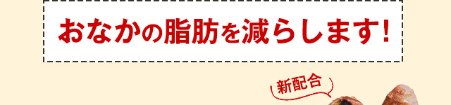 おなかの脂肪を減らします！ 新配合