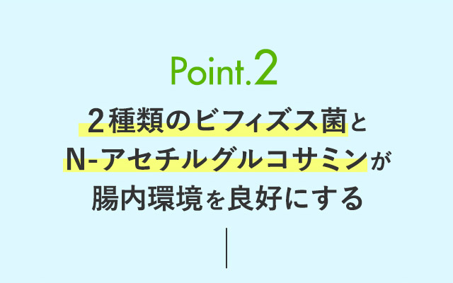 Point.2 2種類のビフィズス菌と N-アセチルグルコサミンが 腸内環境を良好にする