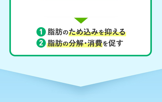 1脂肪のため込みを抑える 2脂肪の分解・消費を促す