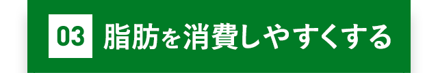 03脂肪を消費しやすくする