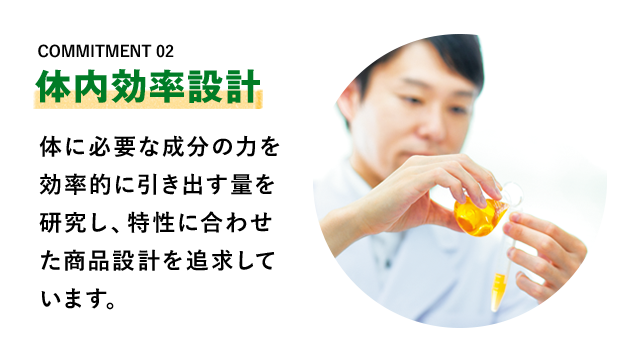 体内効率設計