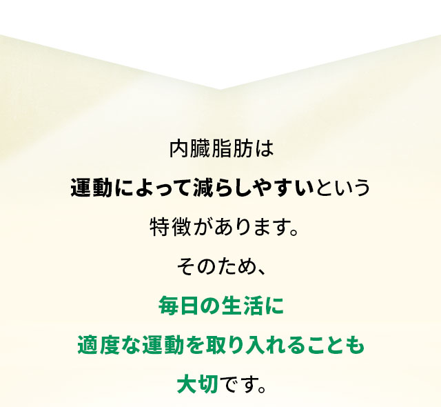 内臓脂肪は運動によって減らしやすいという特徴があります。そのため、毎日の生活に適度な運動を取り入れることも大切です。