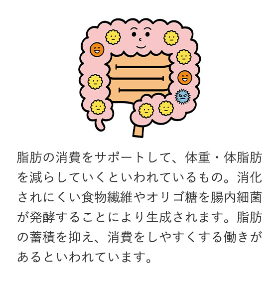 脂肪の消費をサポートして、体重・体脂肪 を減らしていくといわれているもの。消化されにくい食物繊維やオリゴ糖を腸内細菌が発酵することにより生成されます。脂肪の蓄積を抑え、消費をしやすくする働きがあるといわれています。