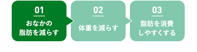 01 おなかの 脂肪を減らす 02 体重を減らす 03脂肪を消費しやすくする