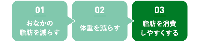 01 おなかの 脂肪を減らす 02 体重を減らす 03脂肪を消費しやすくする