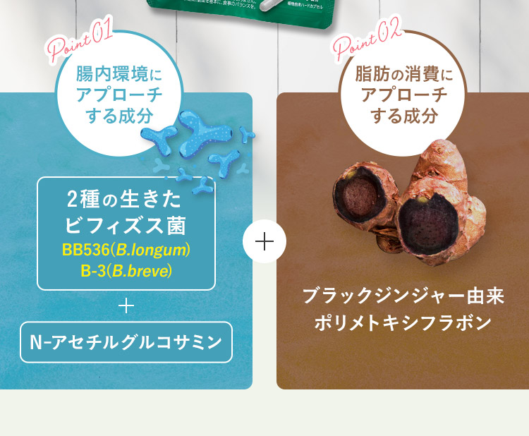 腸内環境にアプローチする成分  脂肪の消費にアプローチする成分