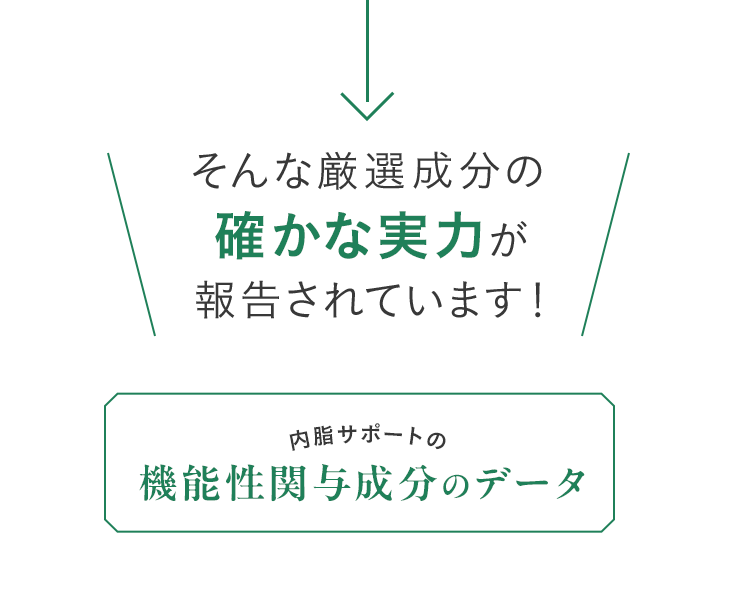 そんな厳選成分の確かな実力が報告されています！ 内脂サポートの機能性関与成分のデータ 