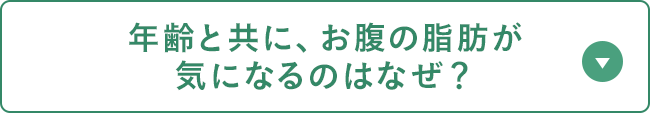 年齢と共に、お腹の脂肪が気になるのはなぜ？