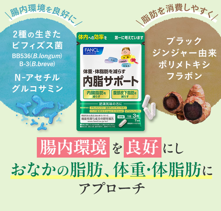 腸内環境を良好にしおなかの脂肪、体重・体脂肪にアプローチ