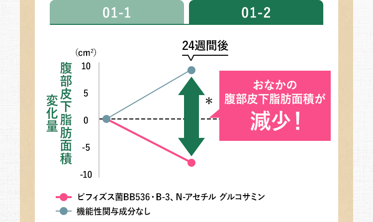 01-1 「ビフィズス菌BB536・B-3、N-アセチル グルコサミン」おなかの腹部皮下脂肪面積が減少！