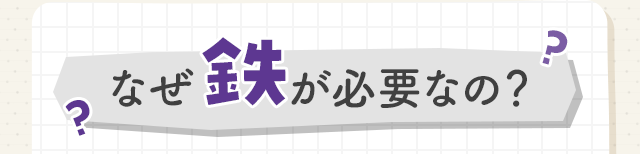 なぜ鉄は必要なの？